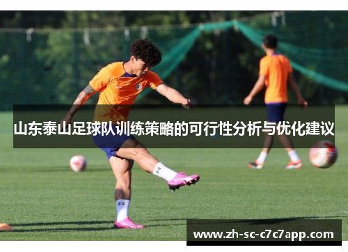 山东泰山足球队训练策略的可行性分析与优化建议