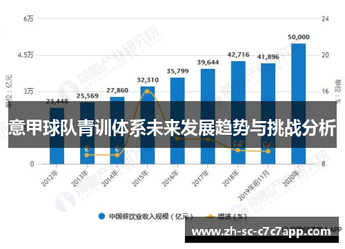 意甲球队青训体系未来发展趋势与挑战分析