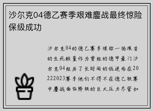 沙尔克04德乙赛季艰难鏖战最终惊险保级成功
